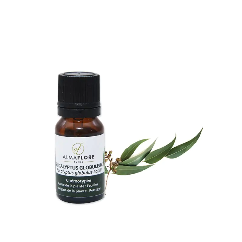 Huile Essentielle D'Eucalyptus Globuleux 10ml